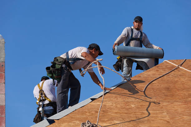 Best Roof Waterproofing Services  in Waynesville, OH