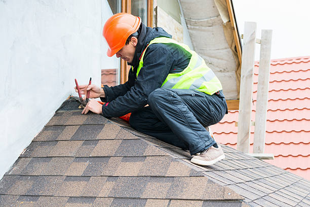 Best Gutter Installation and Roofing  in Waynesville, OH